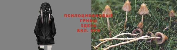 трава Арсеньев