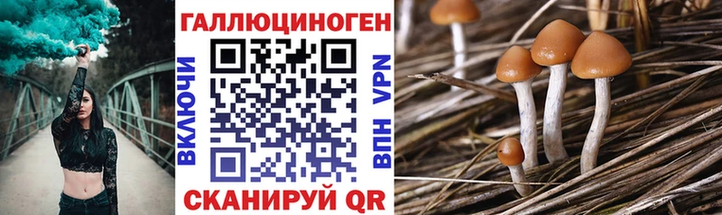 ссылка на мегу ONION  купить закладку  Арсеньев  Галлюциногенные грибы Cubensis 